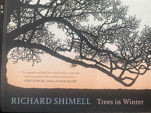 Trees in Winter